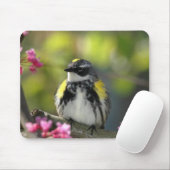 Vogel-Mausunterlage 6 Mousepad (Mit Mouse)