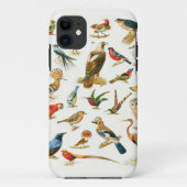 Vögel Minimalistische farbenfrohe Arten Moderne Case-Mate iPhone Hülle (Rückseite)