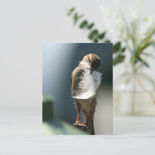 Vogel mit Feder Postkarte (Stehend Vorderseite)