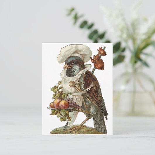 Vogel mit Futter und Koch Postkarte (Stehend Vorderseite)