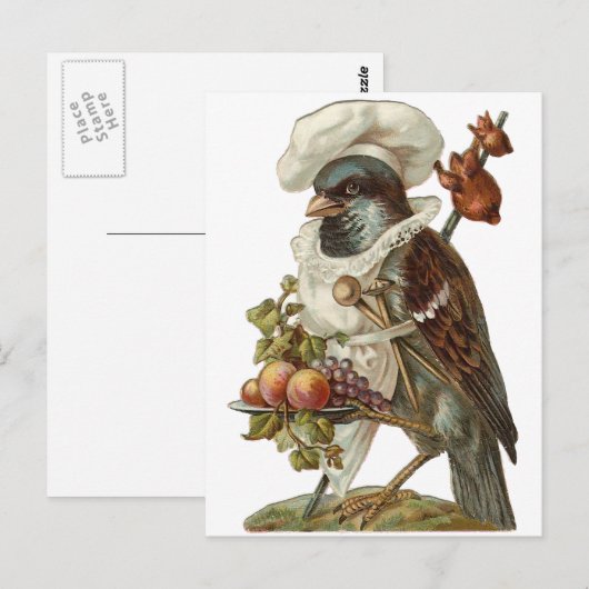 Vogel mit Futter und Koch Postkarte (Vorne/Hinten)