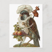 Vogel mit Futter und Koch Postkarte (Vorderseite)