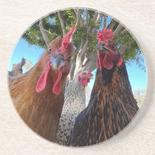 Vögel mit Haltung Sandstein Untersetzer (Vorne)