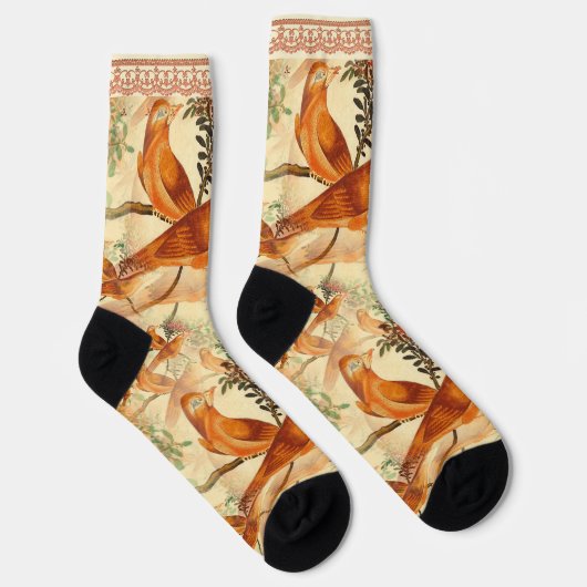 Vögel mit Imitaten Socken (Rechts)