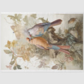 Vögel mit langen Federn Seidenpapier (Vorderseite)