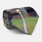 Vogel mit Long Neck Krawatte (Gerollt)