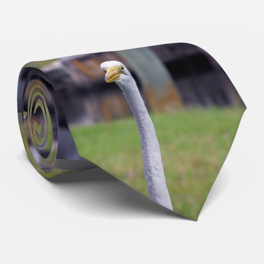Vogel mit Long Neck Krawatte (Gerollt)