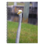 Vogel mit Long Neck Notizblock (Vorderseite)
