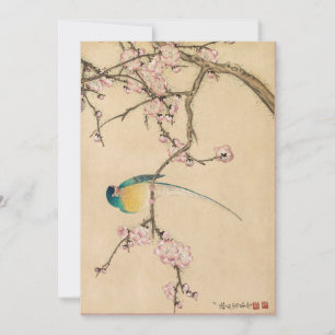 Vogel mit Pflaumenblüten von Zhang Ruoai Einladung
