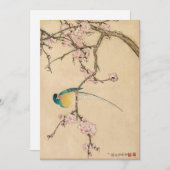 Vogel mit Pflaumenblüten von Zhang Ruoai Einladung (Vorne/Hinten)