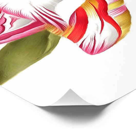 Vogel mit Tulip Nelken und Butterfisch Akryllisch Poster (Ecke)