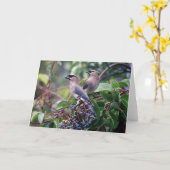 Vogel-Mittagessen-Gruß-Karte (freier Raum nach Karte (Gelbe Blume)