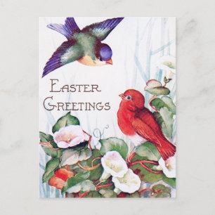 Vögel Morning Glory Retro Ostern Postkarte