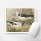 Vögel Mousepad (Mit Mouse)
