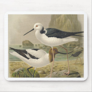 Vögel Mousepad