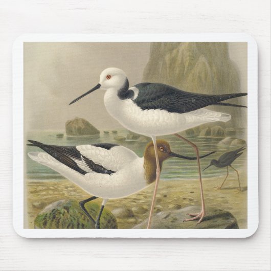 Vögel Mousepad (Vorne)