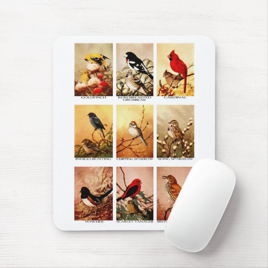Vögel Mousepad (Mit Mouse)