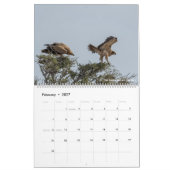 Vögel Namibias und Botsuanas Kalender (Feb 2027)