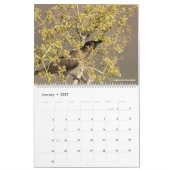 Vögel Namibias und Botsuanas Kalender (Jan 2027)