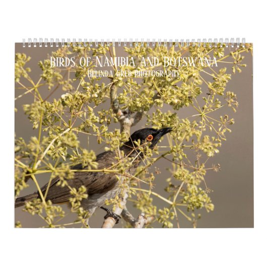 Vögel Namibias und Botsuanas Kalender (Titelbild)