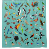 Vogel-Nerd Duschvorhang (Vorderseite)