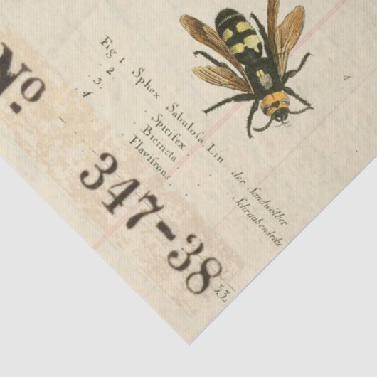 Vogel-Nest-Bienen-Apotheker Decoupage Seidenpapier (Detail)