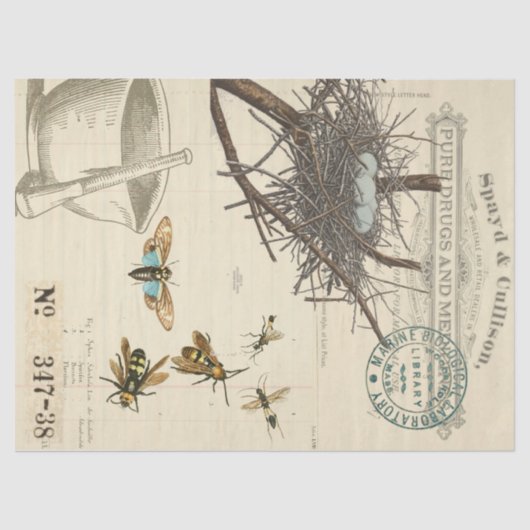 Vogel-Nest-Bienen-Apotheker Decoupage Seidenpapier (Vorderseite)