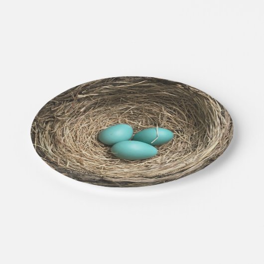Vogel-Nest mit blauen Eiern Pappteller (Schrägansicht)