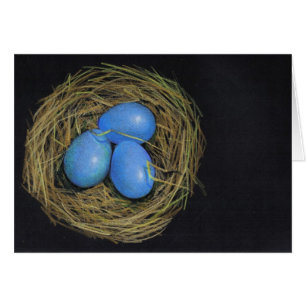 Vogel-Nest mit Eiern: Addieren Sie Ihren Titel
