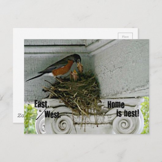 Vögel nest mit Zitat über Zuhause. Postkarte (Vorne/Hinten)