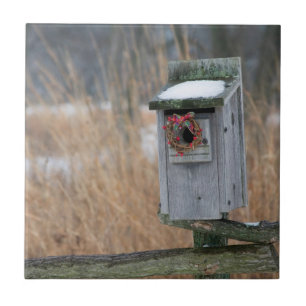 Vogel, Nistkasten mit Weihnachtsgirlande im Winter Fliese