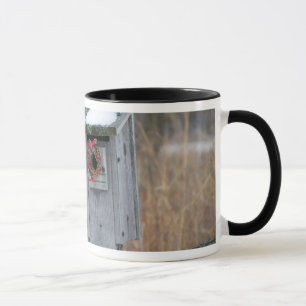 Vogel, Nistkasten mit Weihnachtsgirlande im Winter Tasse