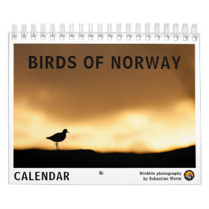 Vögel Norwegens 2027 Kalender