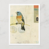 Vogel Nr. 1 Postkarte (Vorderseite)