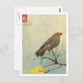 Vogel Nr. 2 Postkarte (Vorne/Hinten)