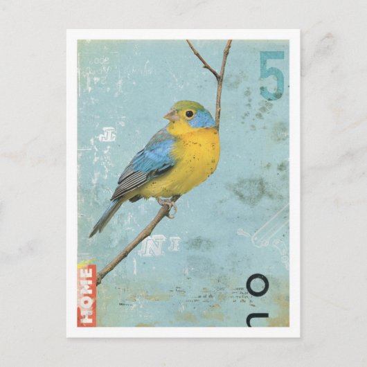 Vögel Nr. 5 Postkarte (Vorderseite)