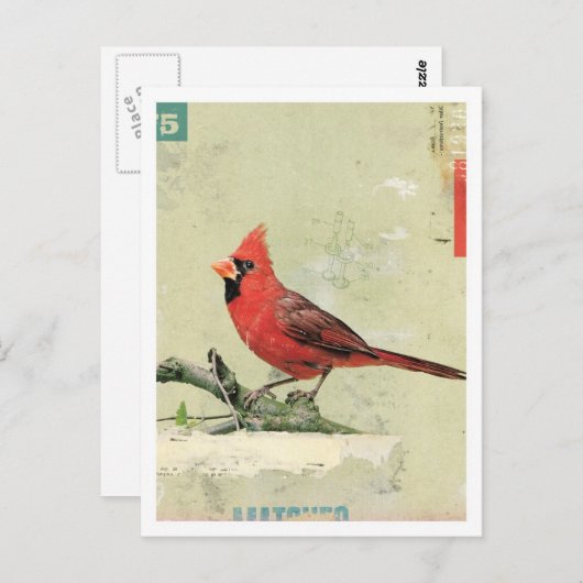 Vögel Nr. 6 Postkarte (Vorne/Hinten)