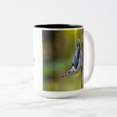 Vögel, Nuthatch, zweiseitig, Zweifarbige Tasse (VorderseiteRechts)
