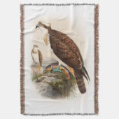 Vögel Osprey-Seefalke-Johns Gould von Decke (Vorderseite Vertikal)