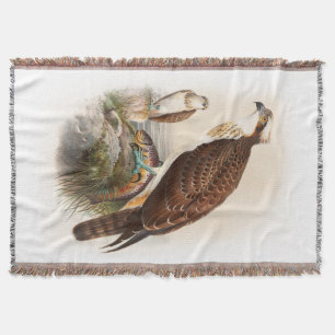 Vögel Osprey-Seefalke-Johns Gould von Decke
