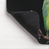 Vogel, Papagei, Papagei Mousepad (Ecke)