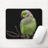 Vogel, Papagei, Papagei Mousepad (Mit Mouse)