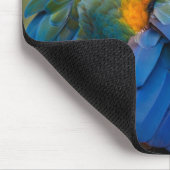 Vogel, Papagei, Tier Mousepad (Ecke)