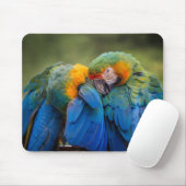 Vogel, Papagei, Tier Mousepad (Mit Mouse)