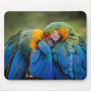Vogel, Papagei, Tier Mousepad