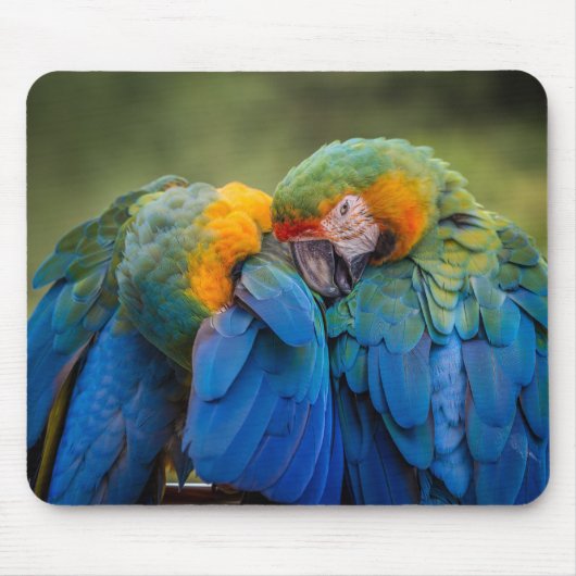 Vogel, Papagei, Tier Mousepad (Vorne)