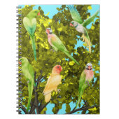 Vögel, Papageien Notizblock (Vorderseite)