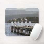 Vögel, Pelikane, Carnarvon Bay Mousepad (Mit Mouse)