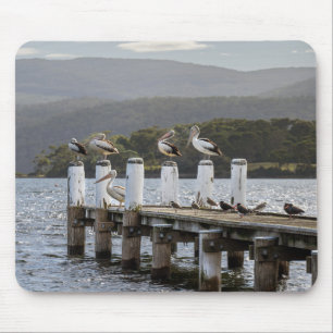 Vögel, Pelikane, Carnarvon Bay Mousepad