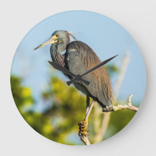 Vogel-perfekte AcrylWanduhr, rund (groß) Große Wanduhr